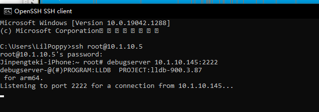 debugserver_installed